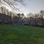 Winter park scene with green grass, bare trees, and distant buildings under a pale sky.
