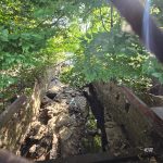Lush green forest canopy over a rocky, steep ravine with wooden railings.