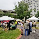 Outdoor market or fair with tents, trees, and people gathered near a large modern building.