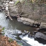 River flows past an old stone retaining wall with fallen trees on the bank.