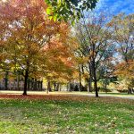 Autumn trees with colorful foliage line a grassy park area near historic buildings.