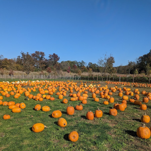 Oasis Family Farm