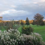 Golden autumn trees line a green golf course under a cloudy sky.
