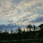 Cloudy sky over a dark forest at dusk or dawn.