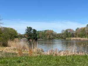 Pennington Loop Trail | Kunkel Park Trailhead