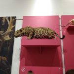 Leopard sculpture on a pink pedestal next to a taxidermied animal display.