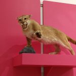 Lion sculpture on a pink pedestal against a bright magenta background.