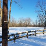 Snow-covered field with wooden fence under a clear blue winter sky.