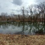 Winter landscape with a still pond reflecting bare trees under an overcast sky.