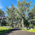 Cemetery pathway lined with tall trees under a bright blue sky, featuring an American flag.