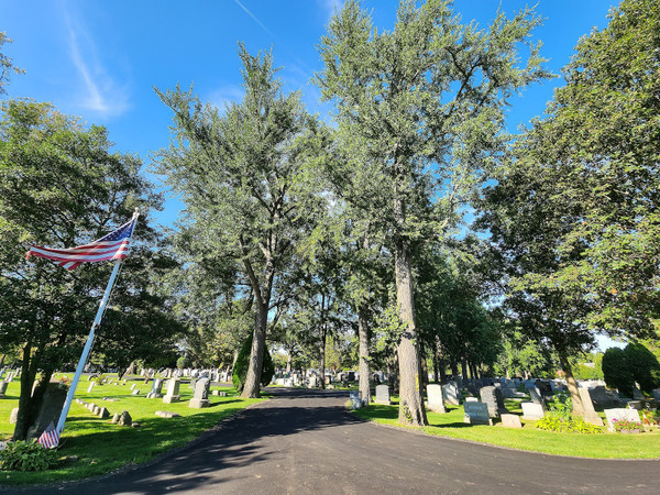 Princeton Cemetery