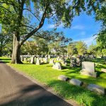 Cemetery rows of gravestones under a bright blue sky, framed by lush green trees.
