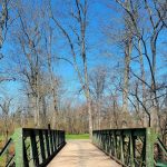 Wooden bridge crossing a path beneath tall, bare trees against a bright blue sky.