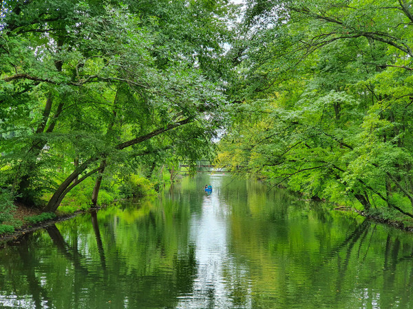 Kayaker on a calm, green-lined waterway under dense summer trees.