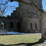Gothic cathedral facade framed by a large, bare tree with patches of snow on the ground.