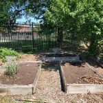 Raised garden beds in a backyard setting with lush green trees and a black metal fence.