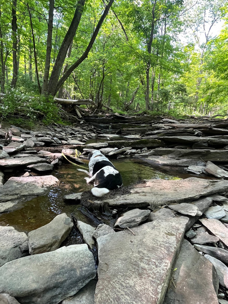Rocky Brook Trail