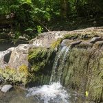 Moss-covered rock waterfall cascading into a clear stream surrounded by lush green forest.