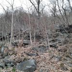 Rocky, wooded hillside covered in dry leaves and bare trees during late fall or winter.