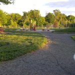 Dog walks down a gravel path through a grassy park area with picnic tables and trees.