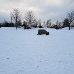 Snow-covered field with bare trees and a wooden bench under an overcast sky.