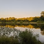 rosedale park