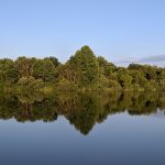 Calm lake reflecting a dense line of green trees under a clear blue sky.