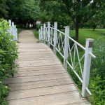 Wooden boardwalk with white railings winding through a lush, green park setting.