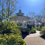 White gazebo in a lush, green park under a bright blue sky.