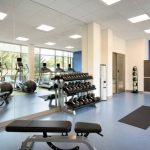 Modern gym interior with cardio equipment, free weights, and blue accent wall.
