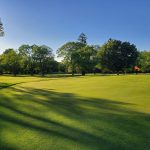 Lush green golf course fairway under a clear blue sky with scattered trees.