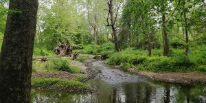 St. Michael’s Farm Preserve