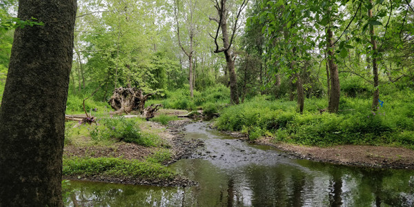 St. Michael’s Farm Preserve