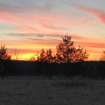 Vibrant sunset over a dark silhouette of trees and field.