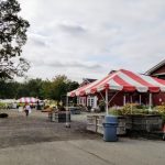 Outdoor market scene with tents, stalls, and trees under a cloudy sky.