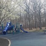 Springtime playground with blue slides set against a backdrop of bare trees.
