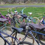 Collection of parked bicycles lined up on a wooden bench near a grassy field.