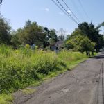 Dirt road winding through a lush, green rural landscape under a blue sky.