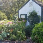 Cottage with garden overflowing with colorful flowers and greenery under bright sunlight.