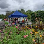 Outdoor market scene under cloudy skies with tents, greenery, and colorful flowers.