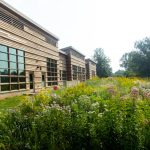 Modern stone building beside a vibrant field of wildflowers under a bright sky.