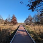 Wooden boardwalk stretches through dry, grassy fields under a clear blue sky.