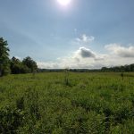Vast green field under a bright blue sky with scattered white clouds.