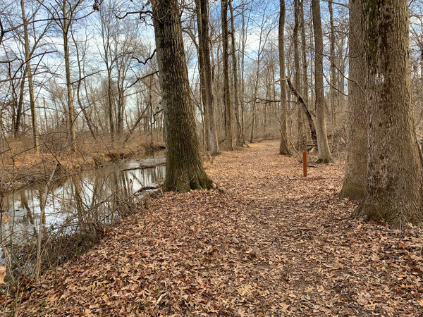 Thomas J May Nature Trail
