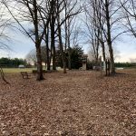 Bare trees surround a playground area covered in fallen autumn leaves under a cloudy sky.