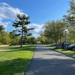 Paved road winding through a lush, green park with trees under a blue sky.