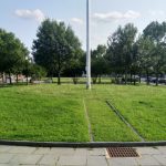 Green park lawn bordered by trees and pavement under a bright sky.