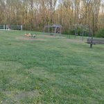 Outdoor park scene with green grass, playground equipment, and a line of trees in the background.