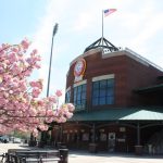 Pink blossoms frame a brick building with an American flag flying above.