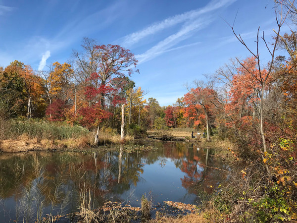 Tulpehaking Nature Center
